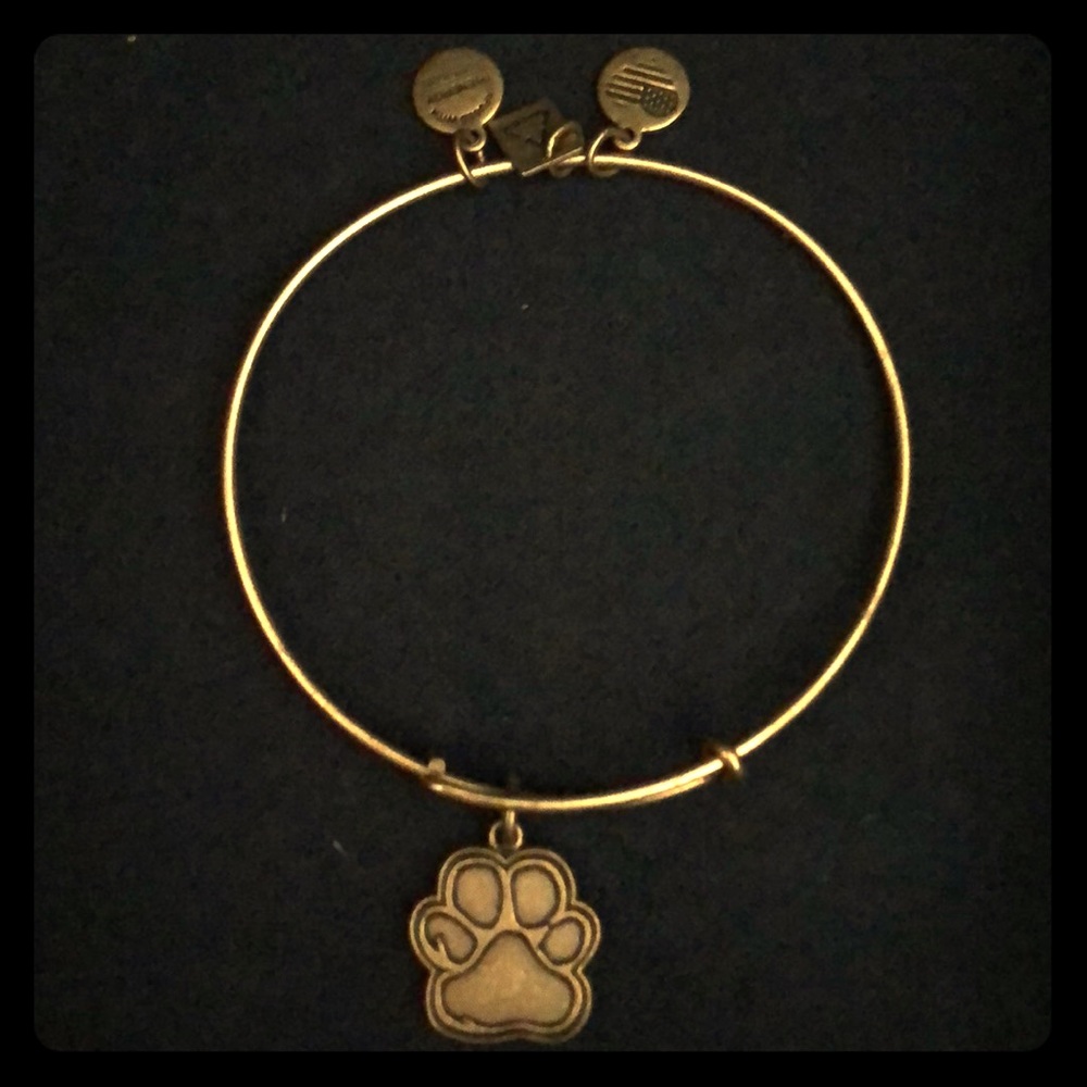 Alex & Ani Bracelet